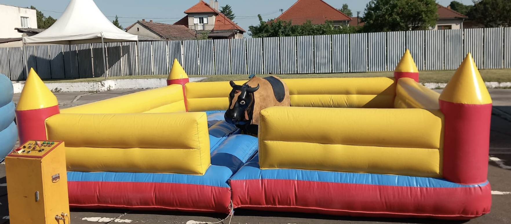 Rodeo býk